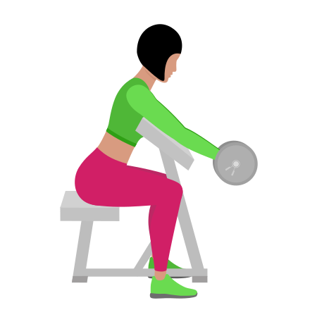 Barbell Preacher Bicep Curl