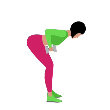 Dumbbell Bent Over Row