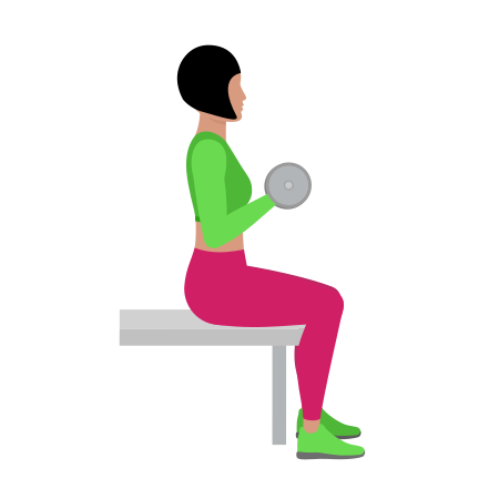 Dumbbell Seated Bicep Curl