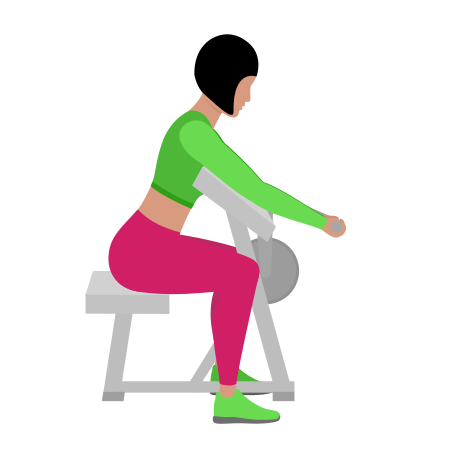 Lever Preacher Curl
