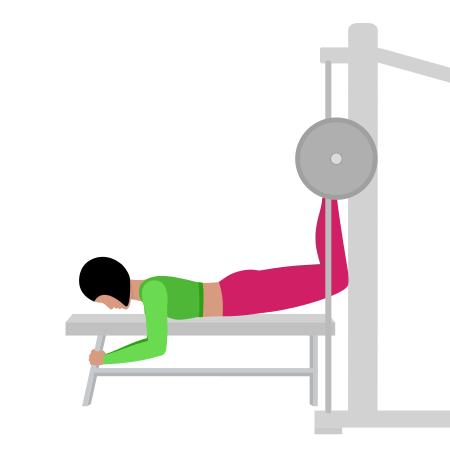 Smith Reverse Hyperextension